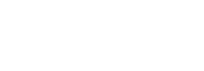 Bricks